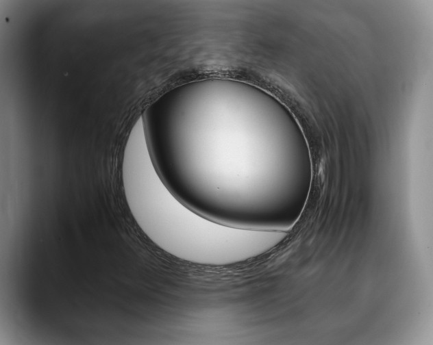 X0000090741348200707201006