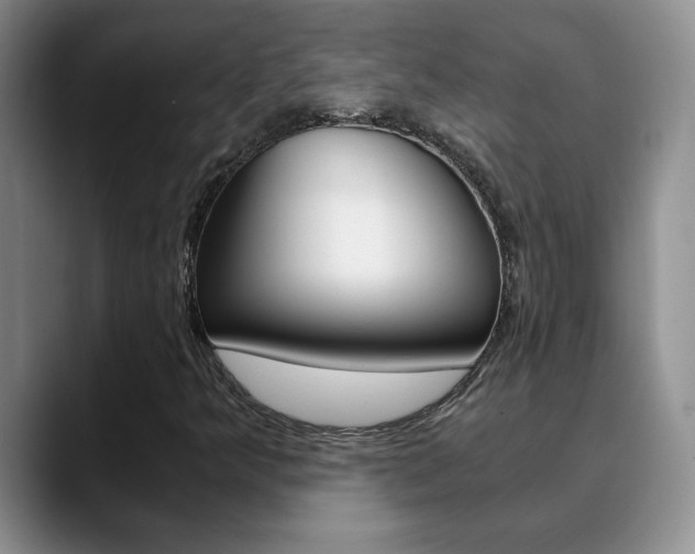 X0000090741349200707201006