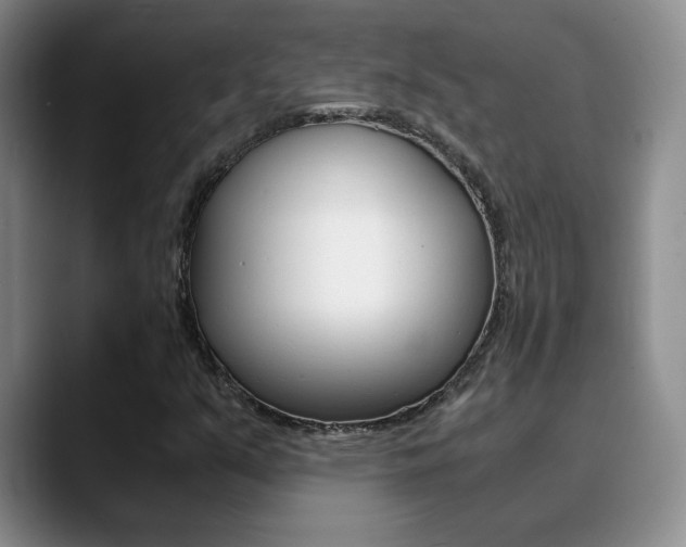 X0000090741351200707201006