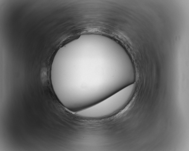 X0000090741353200707201006