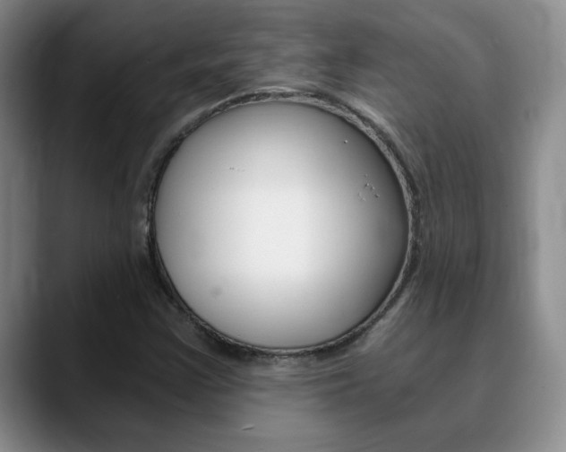 X0000090741355200707201006
