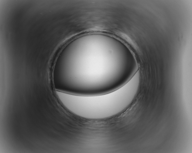 X0000090741356200707201006