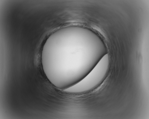 X0000090741357200707201006