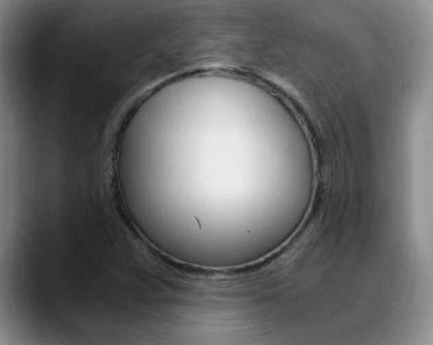 X0000090741359200707201006