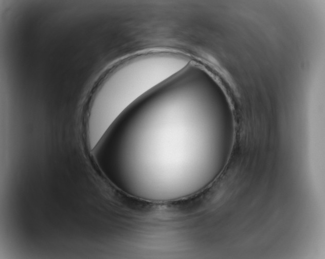 X0000090741360200707201006