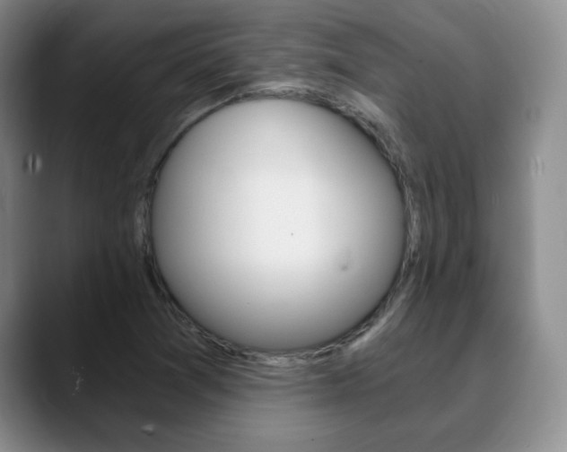 X0000090741361200707201006