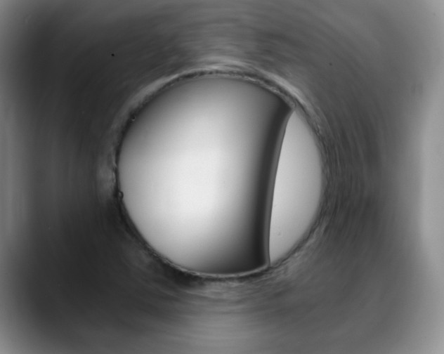 X0000090741363200707201006