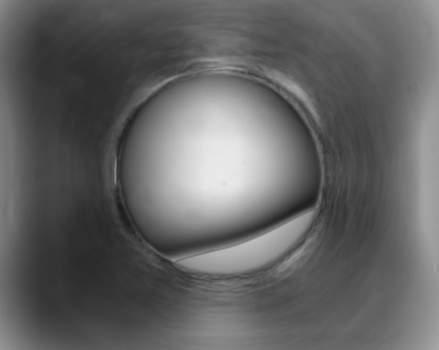 X0000090741365200707201006
