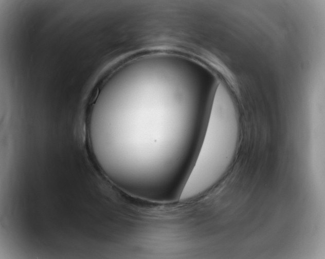 X0000090741368200707201005