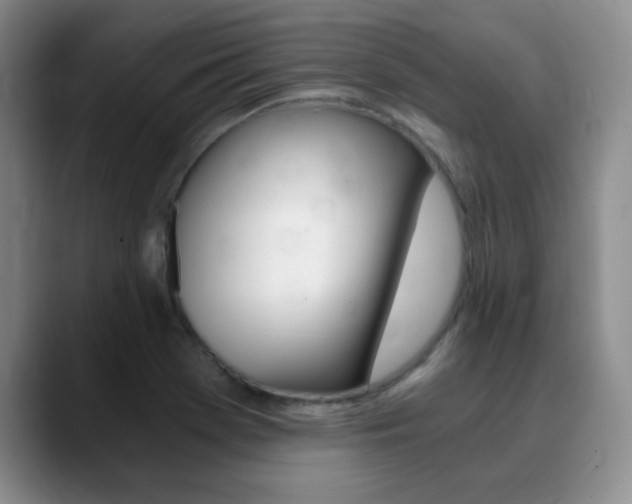 X0000090741369200707201005