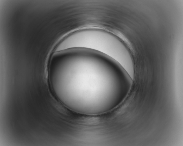 X0000090741372200707201005