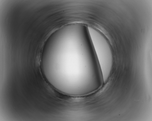 X0000090741377200707201005