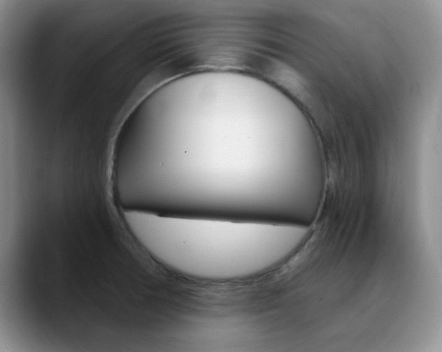 X0000090741378200707201005