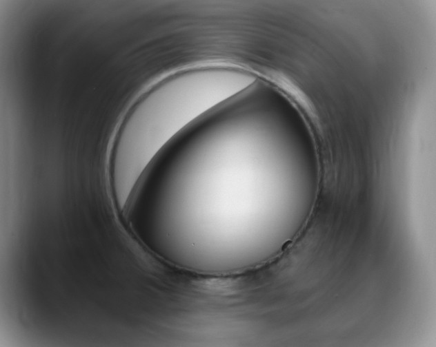 X0000090741380200707201005