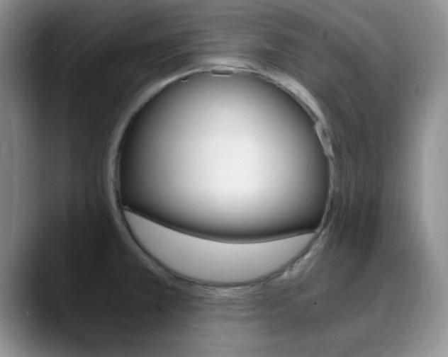 X0000090741381200707201005