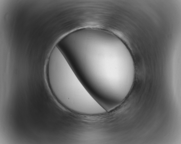 X0000090741383200707201005