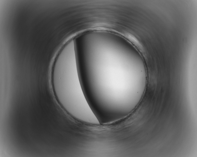 X0000090741384200707201005