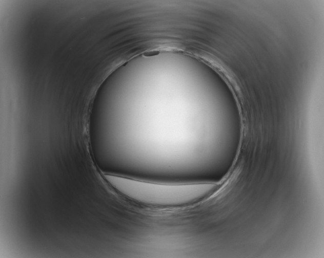 X0000090741385200707201005