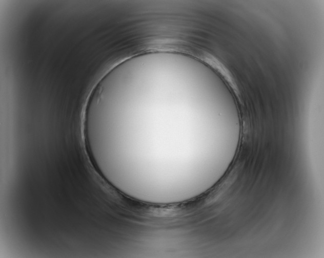 X0000090741386200707201005