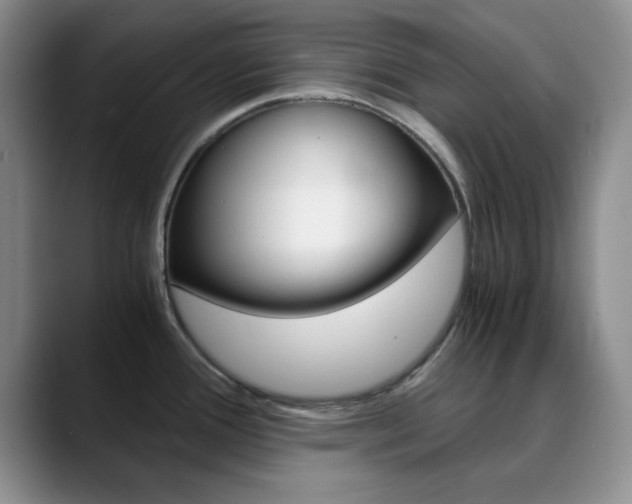 X0000090741388200707201005