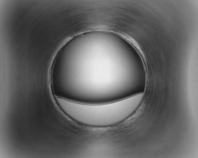 X0000090741389200707201005