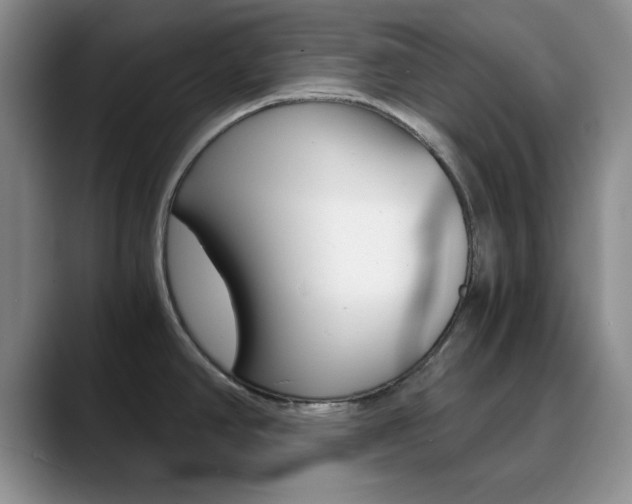 X0000090741390200707201005
