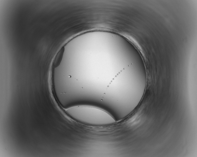 X0000090741391200707201005
