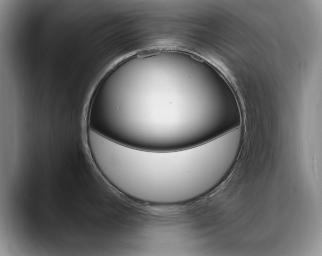 X0000090741392200707201005