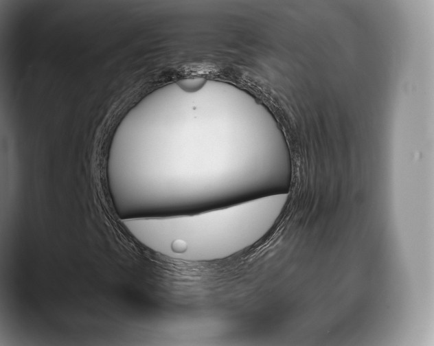 X0000090741393200707201005