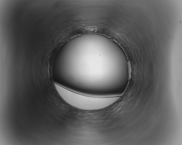 X0000090741394200707201005