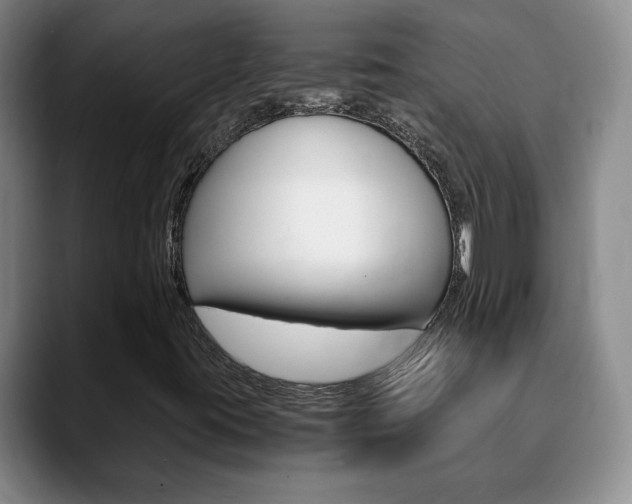 X0000090741395200707201005