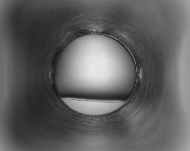 X0000090741396200707201005
