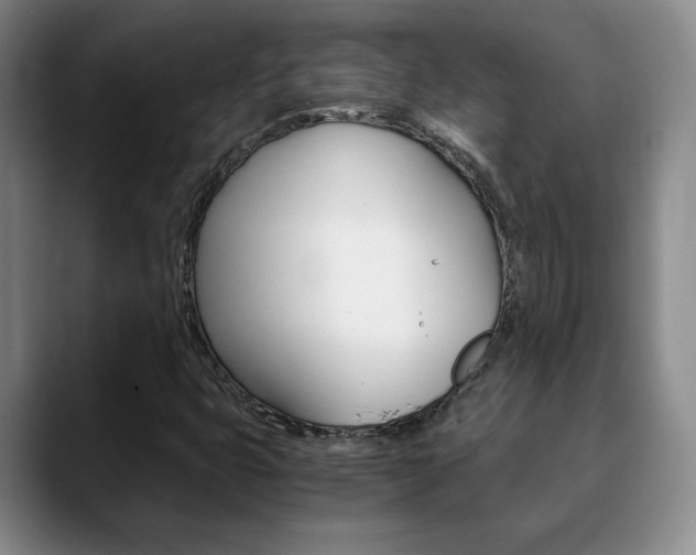 X0000090741399200707201005