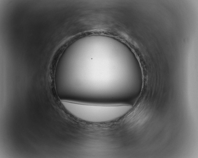 X0000090741400200707201005