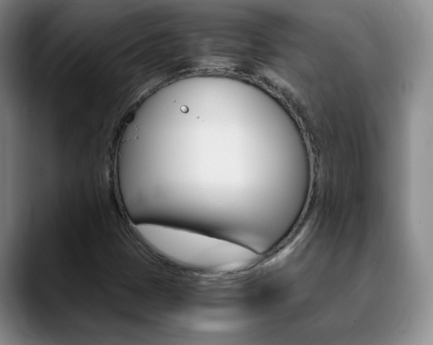 X0000090741401200707201005
