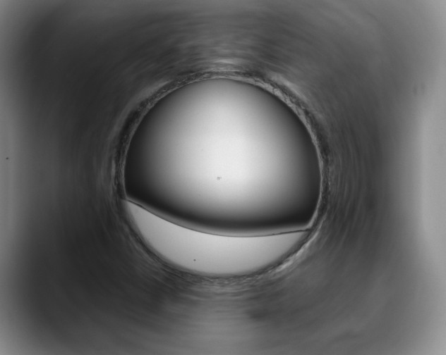 X0000090741402200707201005