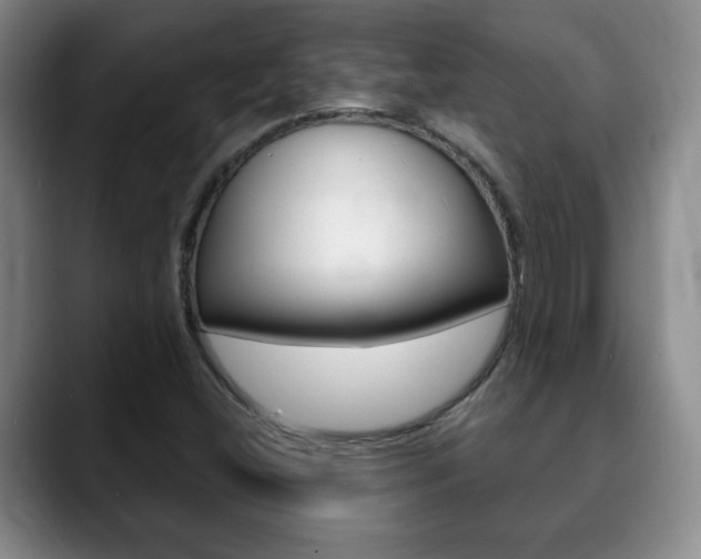 X0000090741404200707201005