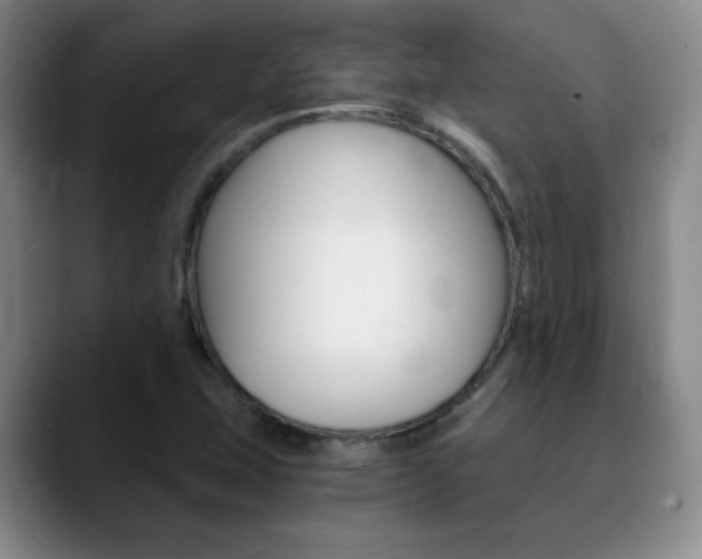 X0000090741407200707201005