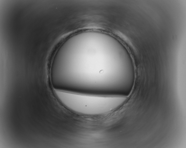 X0000090741408200707201005