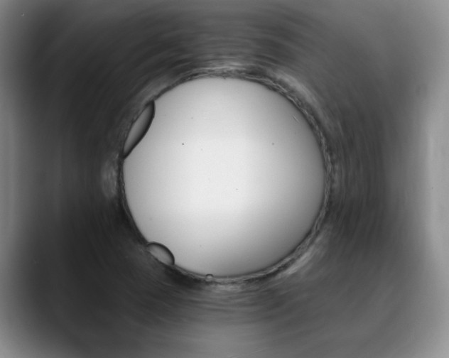 X0000090741409200707201005