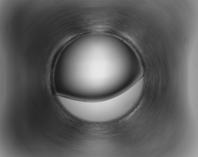 X0000090741410200707201005