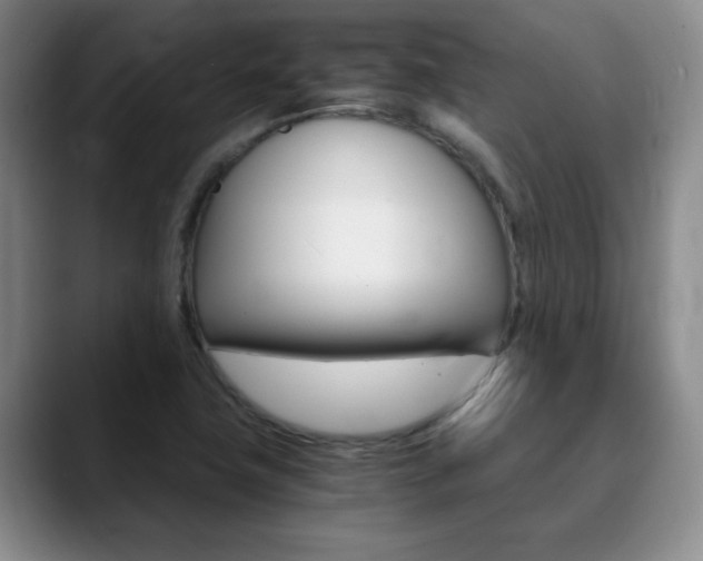 X0000090741411200707201005