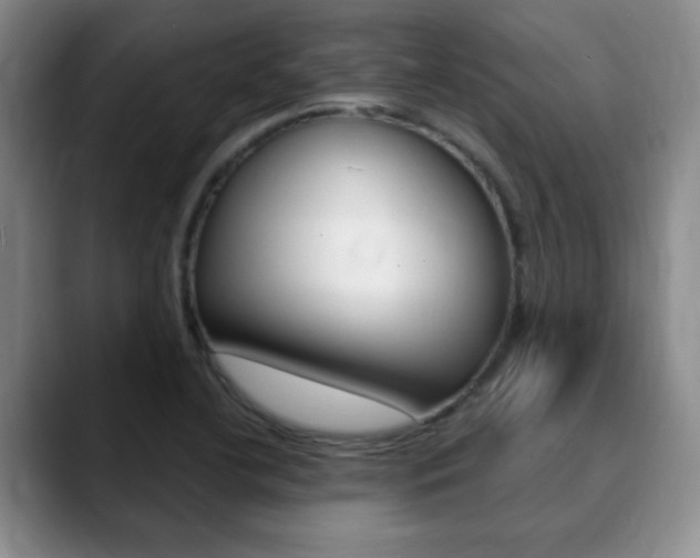 X0000090741412200707201005