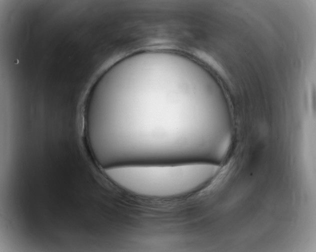 X0000090741413200707201005