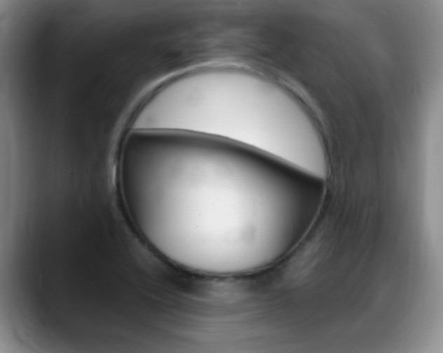 X0000090741416200707201005