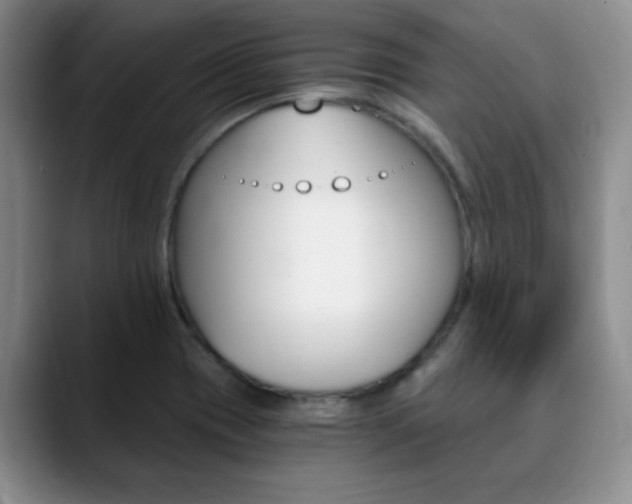 X0000090741417200707201005