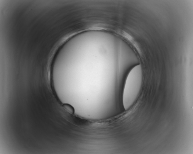 X0000090741419200707201005