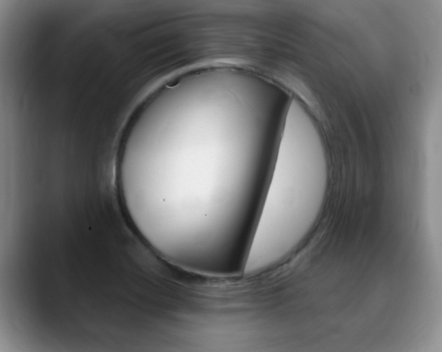 X0000090741420200707201005