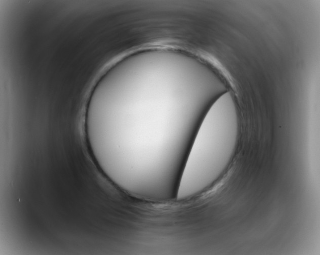 X0000090741421200707201005
