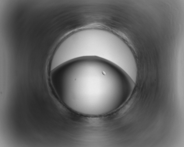 X0000090741422200707201005